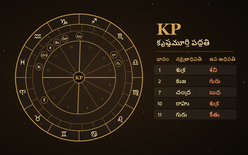 KP Astrology Reading